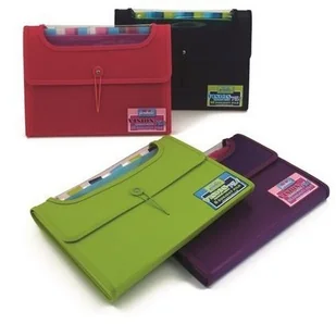 PUKKA Teczka z gumką Pp A4/25mm/6przegr Pukka Roz - Artykuły biurowe - miniaturka - grafika 2