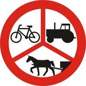 Wyposażenie miejsc publicznych - Znak drogowy zakazu B-6/8/9 zakaz wjazdu pojazdów innych niż samochodowe - miniaturka - grafika 1