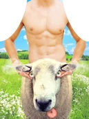 Fartuchy i rękawice kuchenne - Darymex Fartuszek kuchenny 50x70 Owca F03 - miniaturka - grafika 1