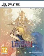 Gry PlayStation 5 - Record of Lodoss War: Deedlit in Wonder Labyrinth GRA PS5 - miniaturka - grafika 1